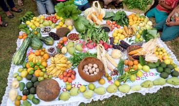 Ernährung Ernährung